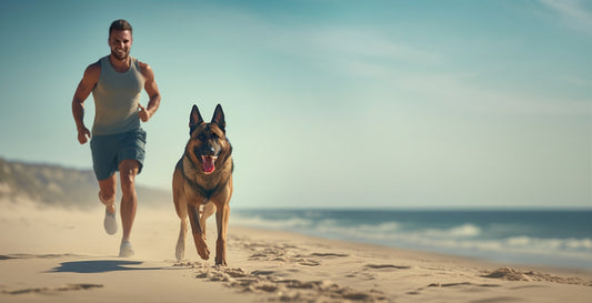 The Perfect Exercise Routine for You and Your Dog