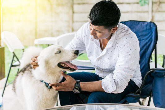 How Owning a Pup Transforms Your Life