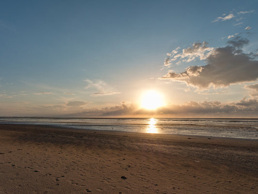 Is Camber Sands Dog-Friendly?