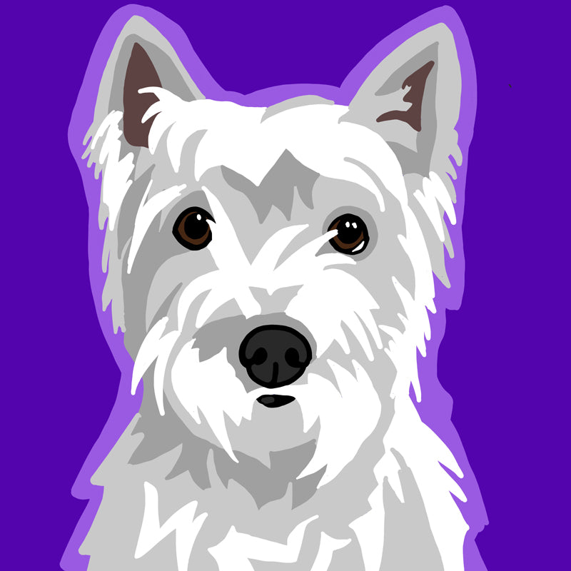 A2-Westie-WEB