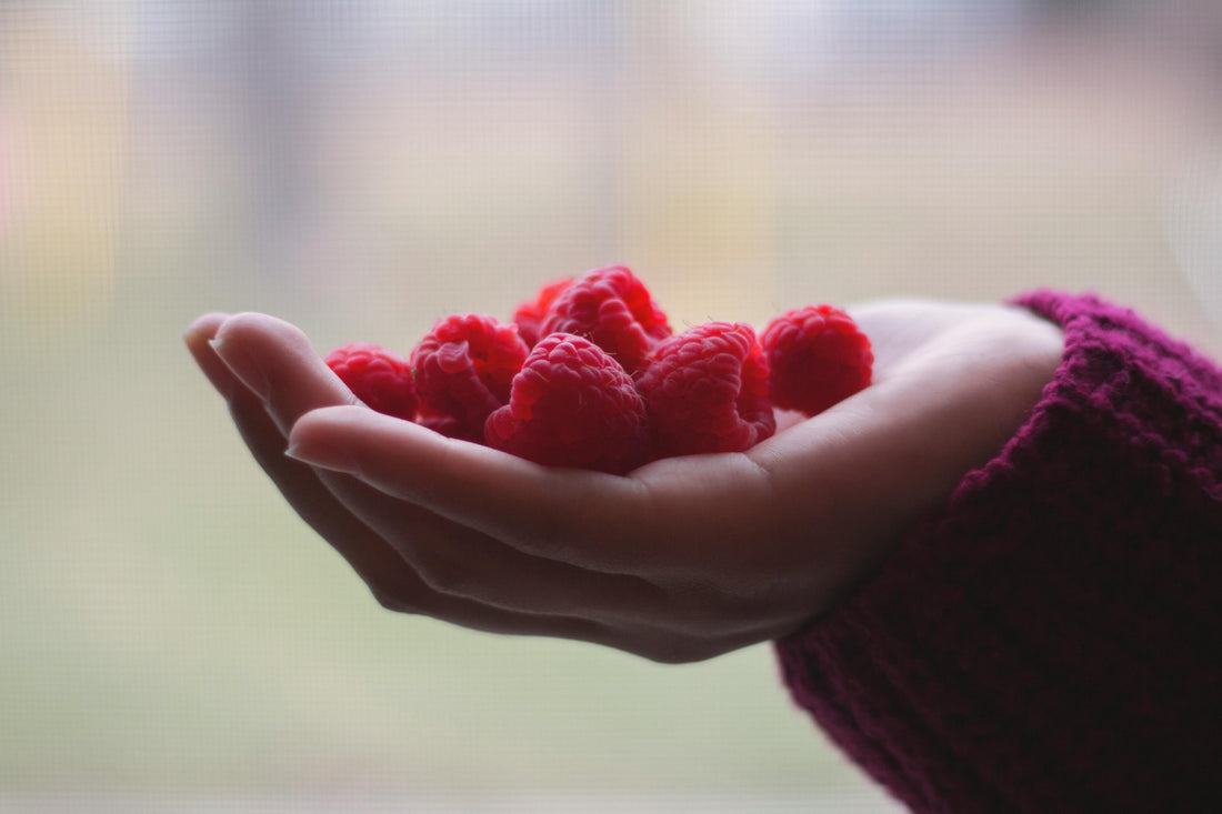 Can Dogs Eat Raspberries? 🍇 Tips, Risks & Safe Serving Ideas