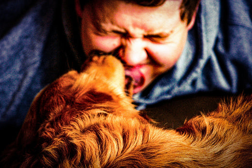 Dog licking a woman’s nose affectionately indoors