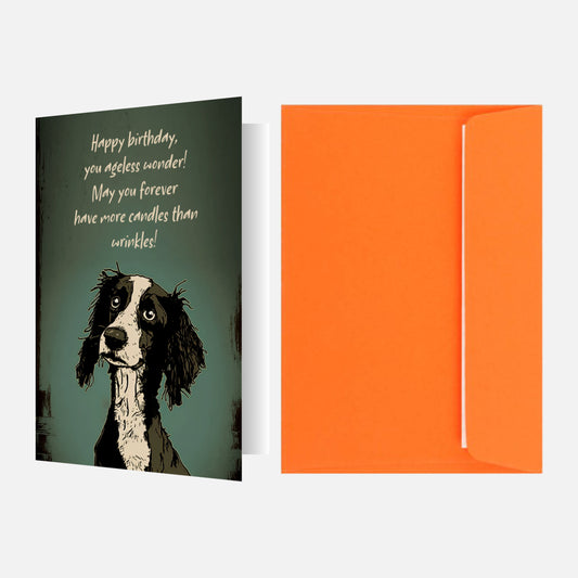 Springer Spaniel Birthday Card