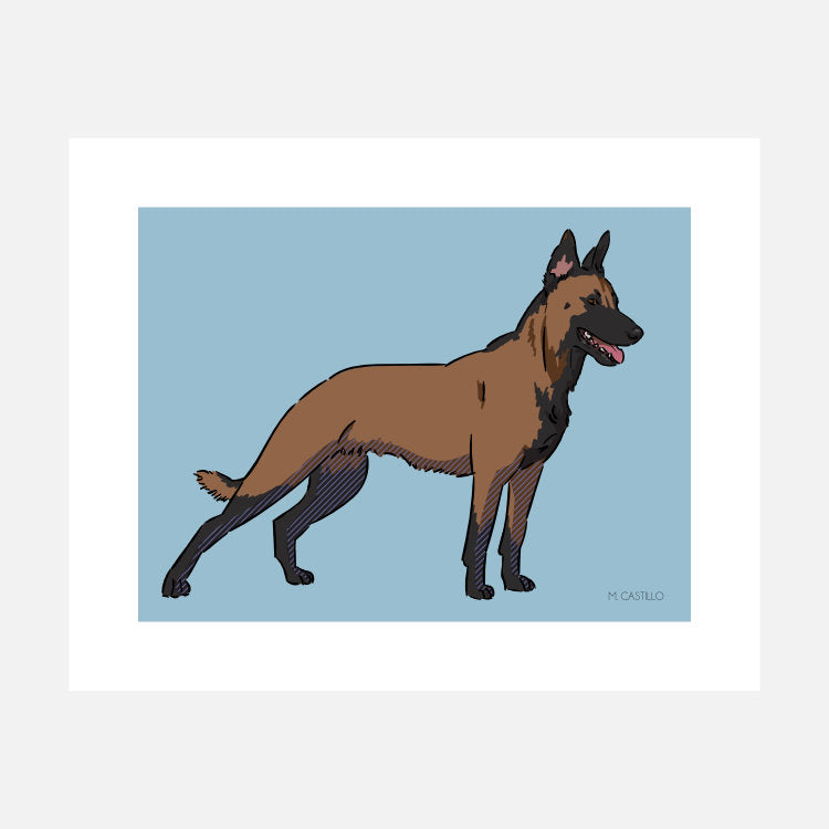 Belgian Malinois Art Print (artist Maria Castillo)