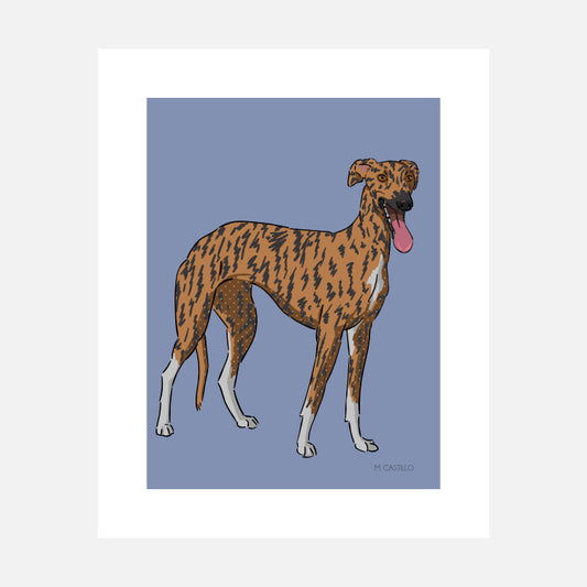 Greyhound Art Print (artist Maria Castillo)