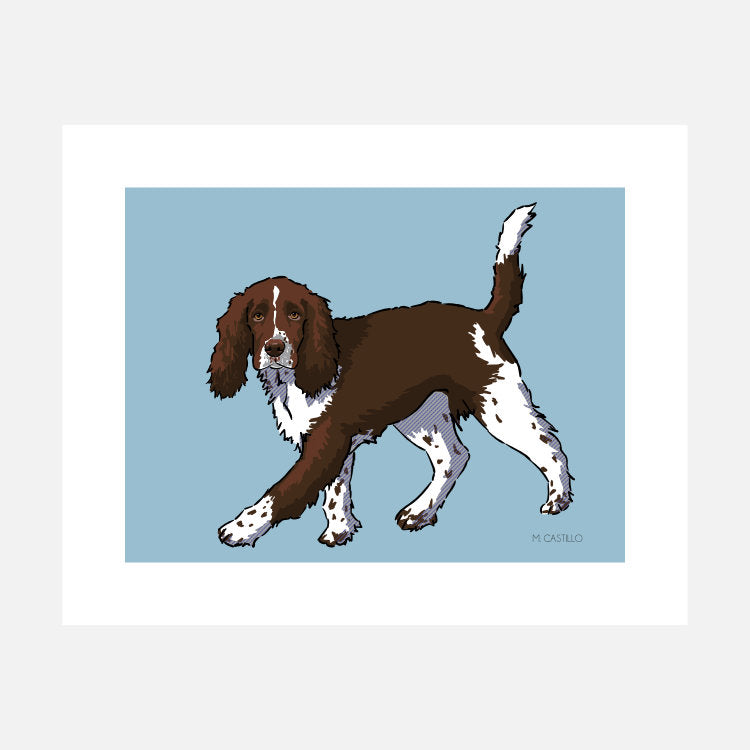 Springer Spaniel Art Print (artist Maria Castillo)