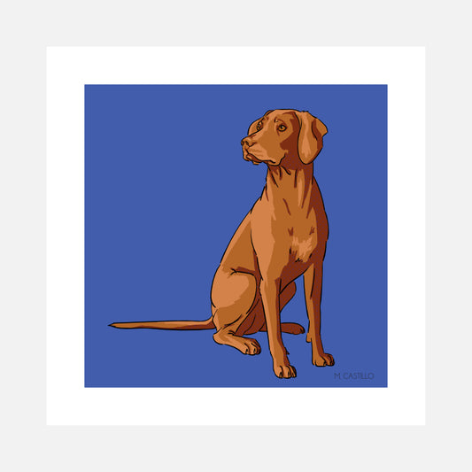 Vizsla Art Print (artist Maria Castillo)