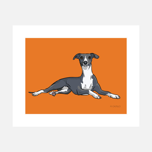 Whippet Art Print (artist Maria Castillo)