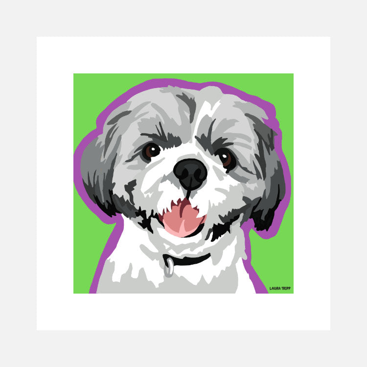 Shih Tzu Art Print (artist Laura Tripp)