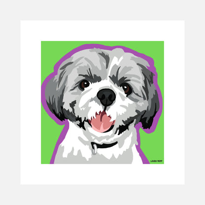 Shih Tzu Art Print (artist Laura Tripp)