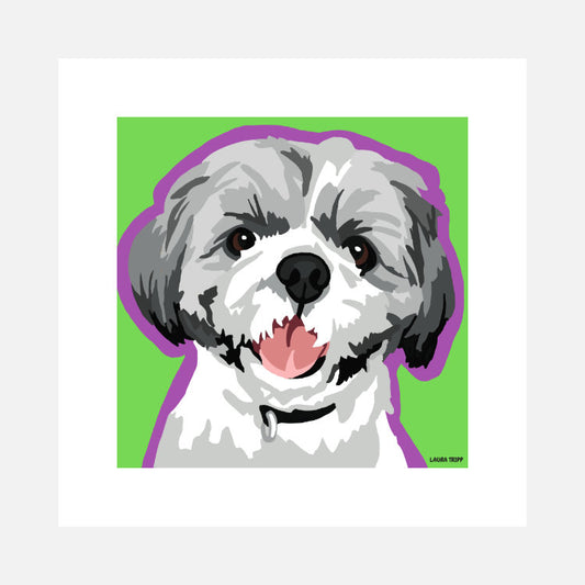 Shih Tzu Art Print (artist Laura Tripp)