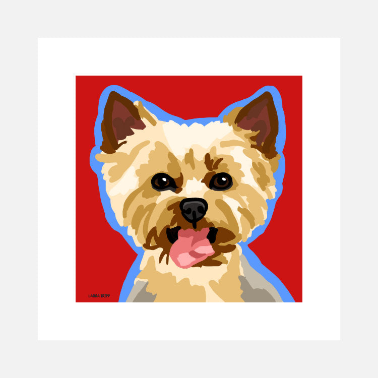 Yorkshire Terrier Art Print (artist Laura Tripp)