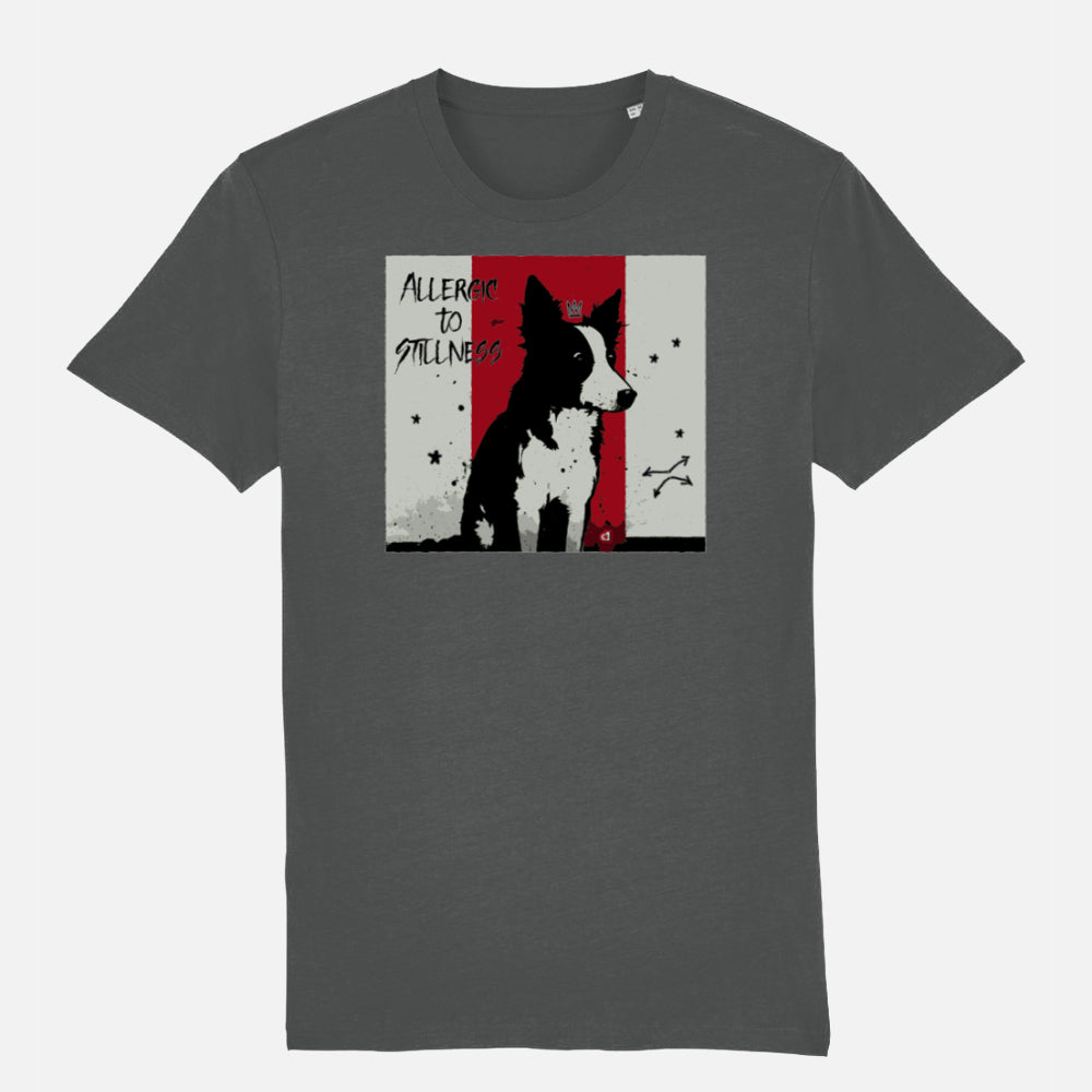 Border Collie Unisex T-shirt - Colour: ANTHRACITE