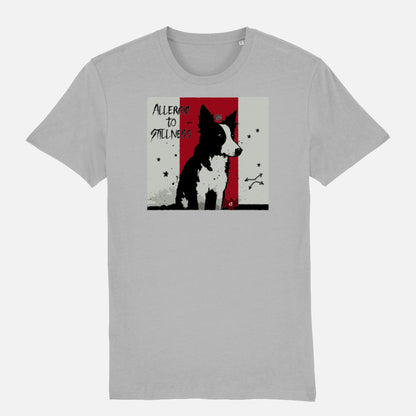 Border Collie Unisex T-shirt - Colour: Heather Grey