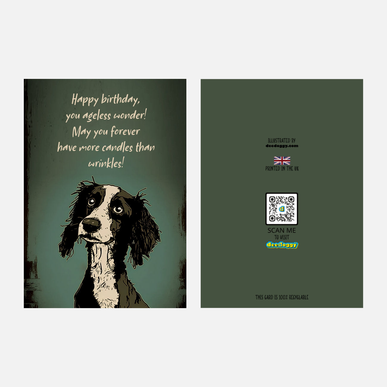 Springer Spaniel Birthday Card