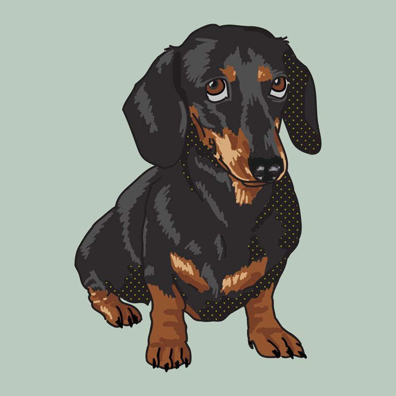 Dachshund-WEB