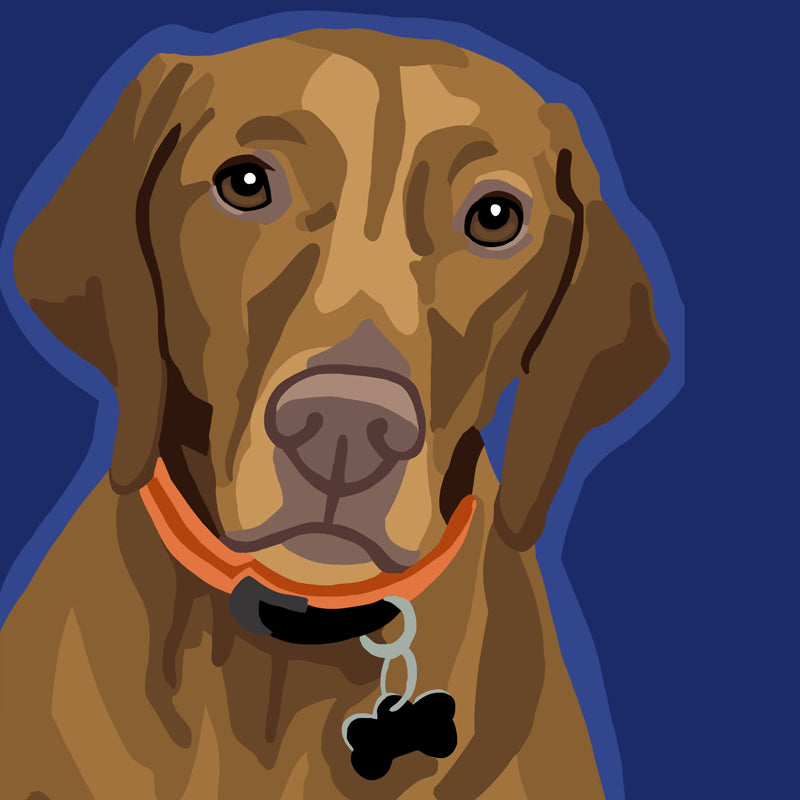 A2-Vizsla-WEB