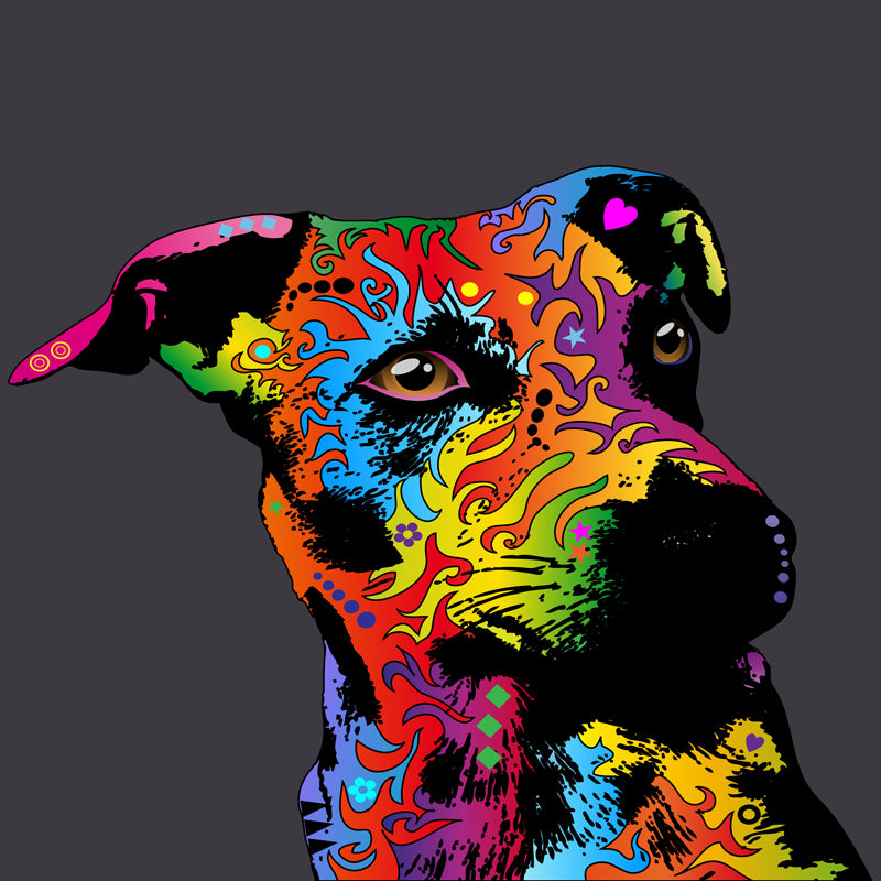 A3-Jack Russel-WEB