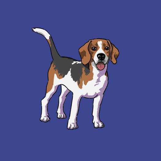 Beagle-products