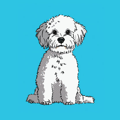 Bichon-Frise-products