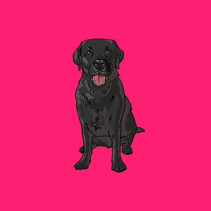 Black-labrador-products