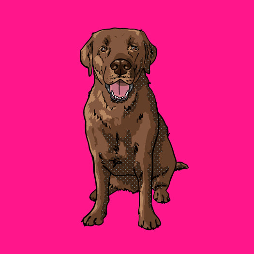 Choco-labrador-products2