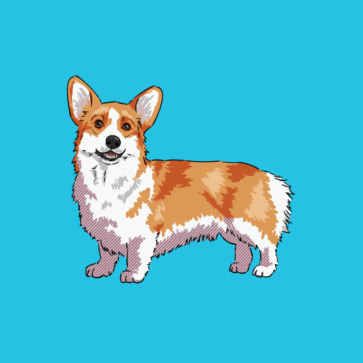 Corgi-products