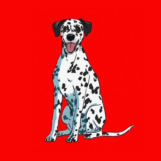 Dalmatian-products2