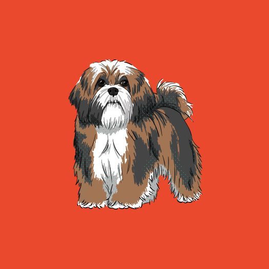 Lhasa-Apso-products