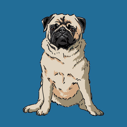 Pug-products2