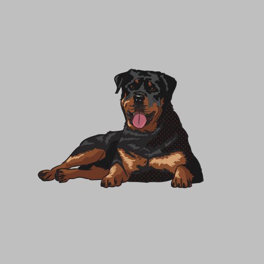 Rottweiler-products