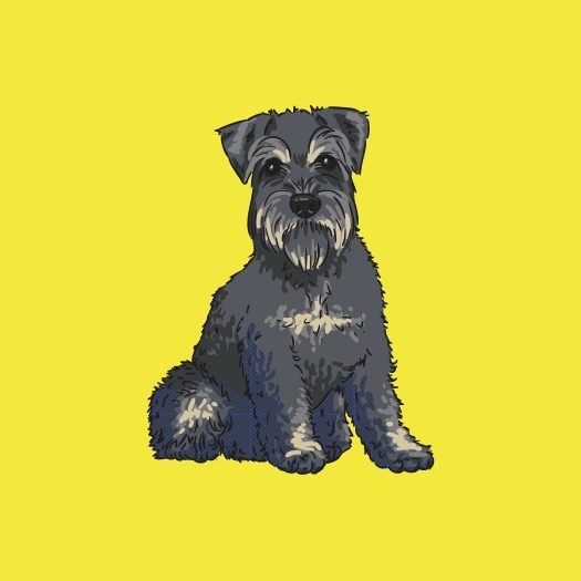 Schnauzer-products