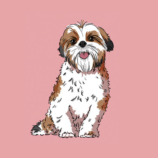 Shih-tzu-products2