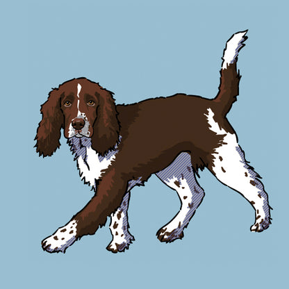 Springer-Spaniel-products2