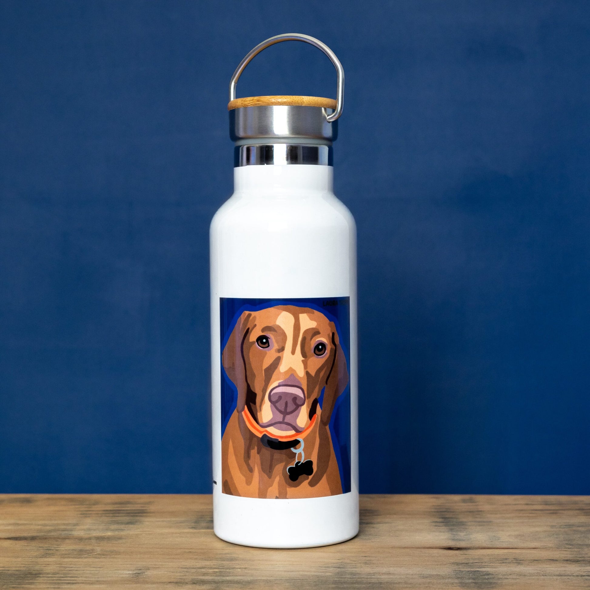VIZSLA_WaterB_Artist2_GUL_0509