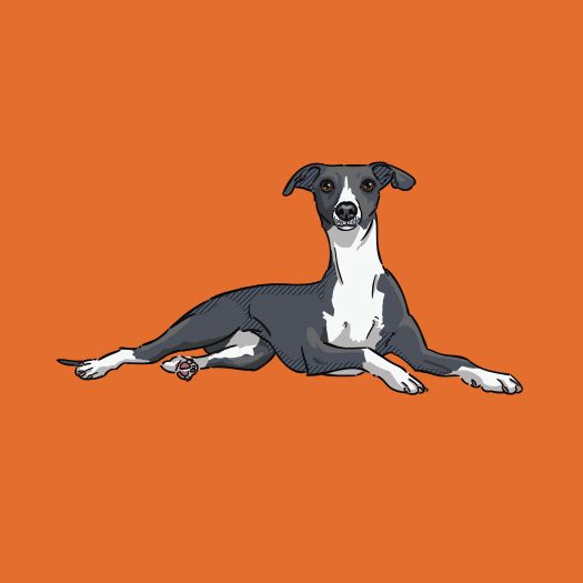 Whippet-products